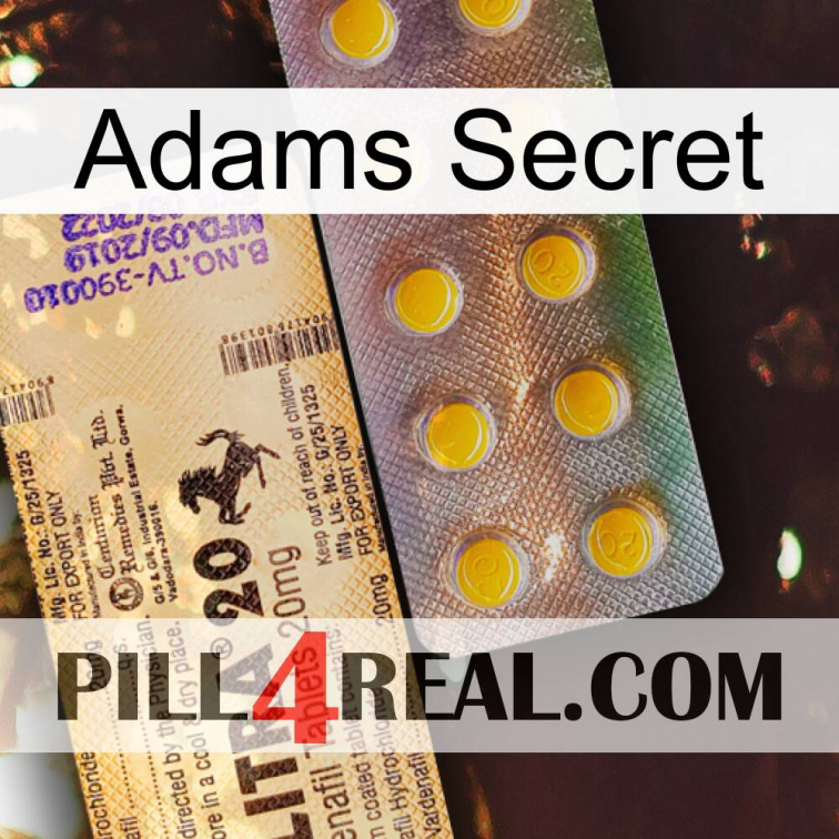 Adams Secret new06